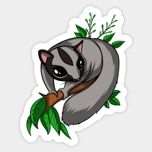 Sugar Glider Sticker